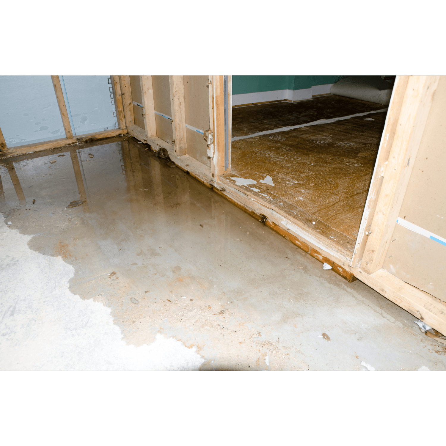 How Insurance Claims Work for Water and Mold Damage