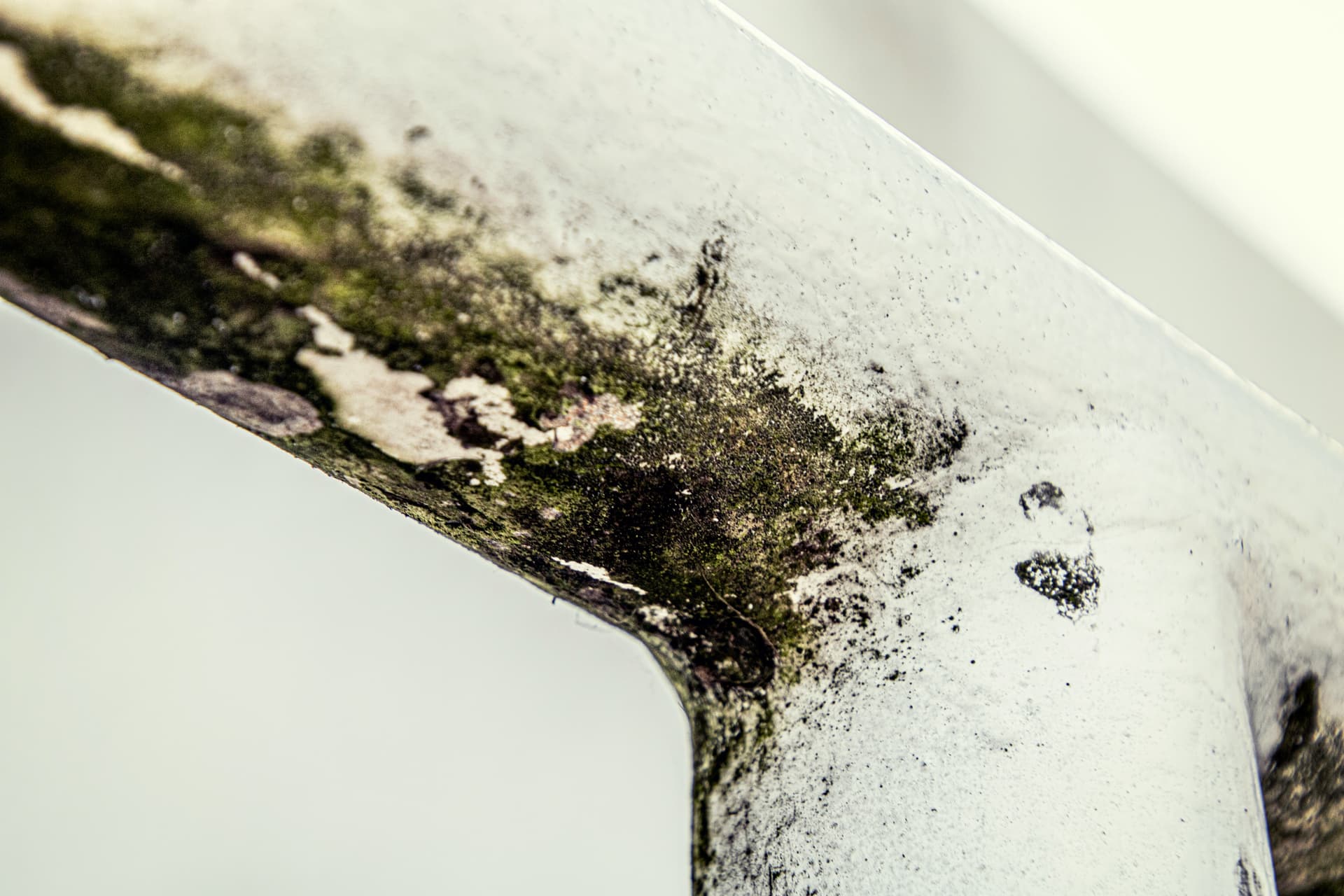 Hidden Mold: Signs Your Home May Have a Problem